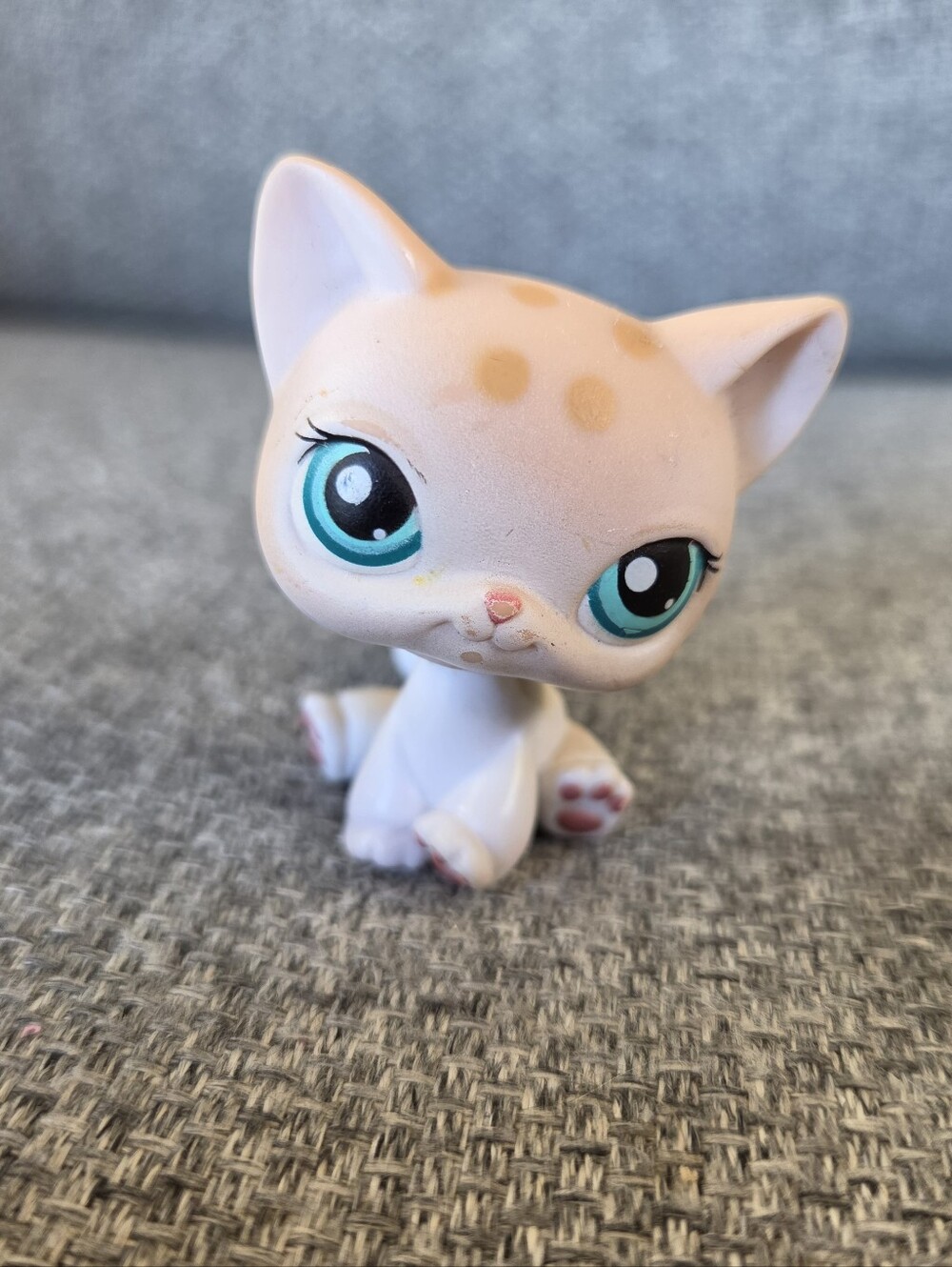 Littlest Pet Shop In the Picture Pets #224 Cat Sitting Shorthair LPS Hasbro